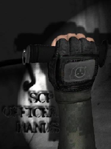 SCP Officer hands